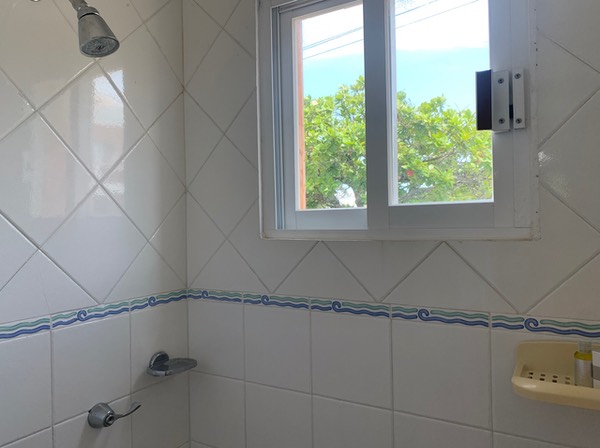HX Std-03 sanitary_shower